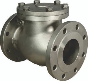 Check valves